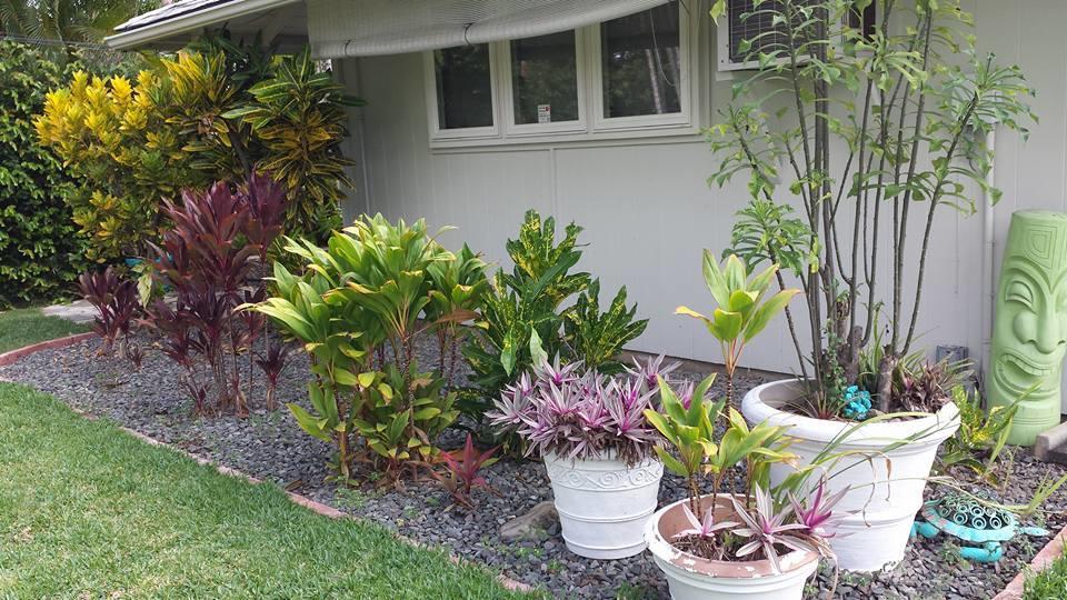 Paradise Palms B & B Kailua Exterior photo